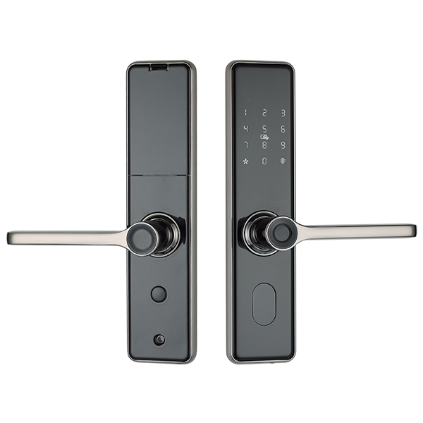 T1室內(nèi)門(mén) 亮槍色